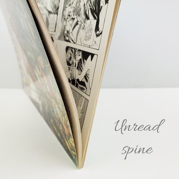 Conan Comic Book French LUG Vintage 1977 TPB Unread - Une Aventure Le Conquerant - Picture 4 of 9